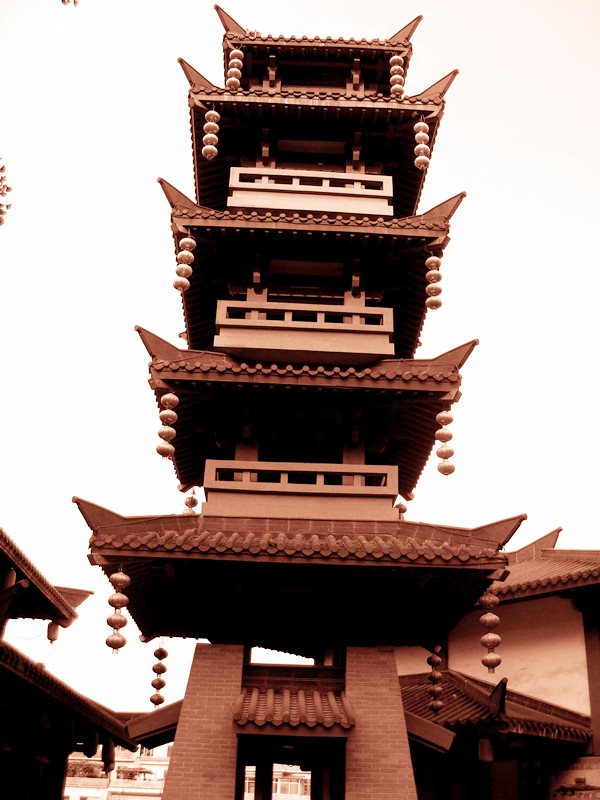 一组PP之三547 / 作者:秋风萧瑟 / 帖子ID:17506