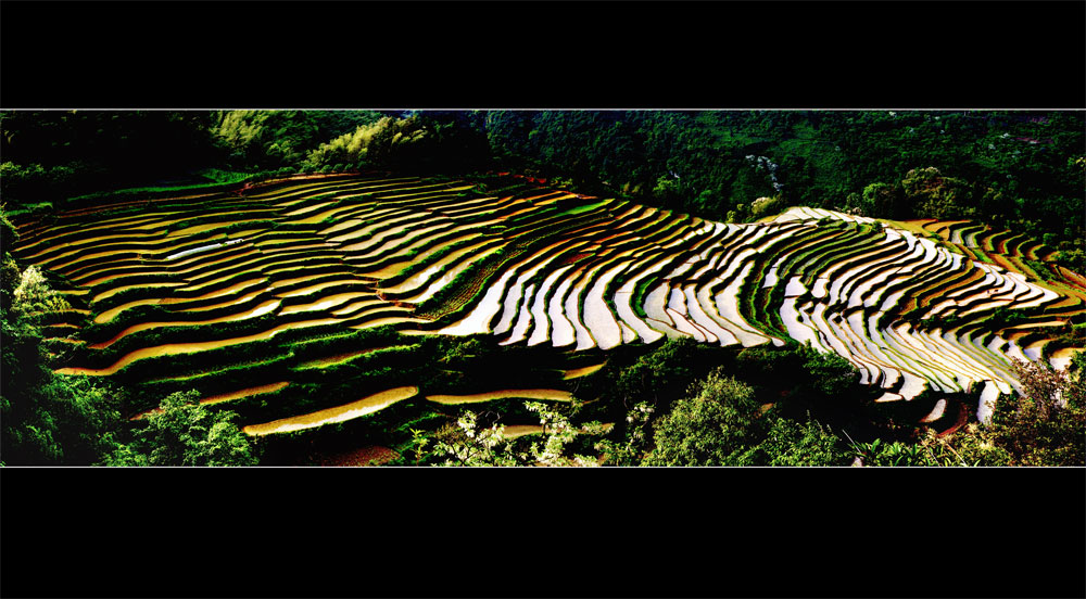 gongcheng  恭城梯田小景772 / 作者:名堂 / 帖子ID:17846