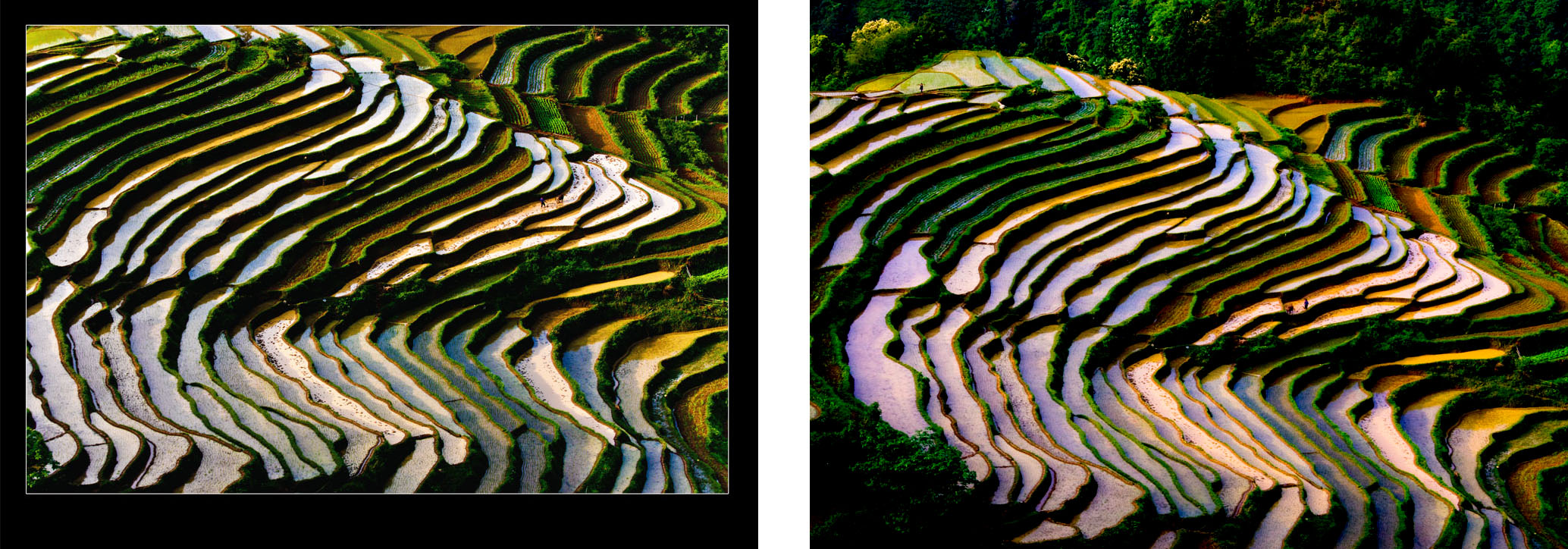 gongcheng  恭城梯田小景684 / 作者:老兔子 / 帖子ID:17846