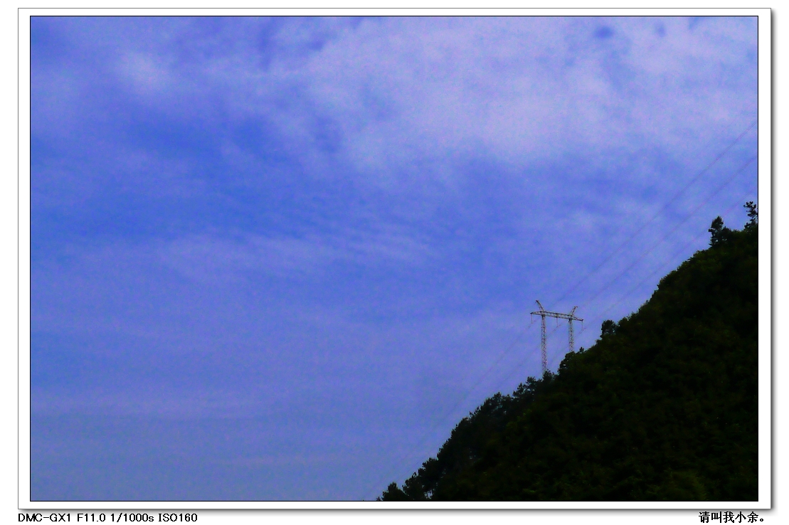 龙虎小景。318 / 作者:请叫我小余。 / 帖子ID:17902
