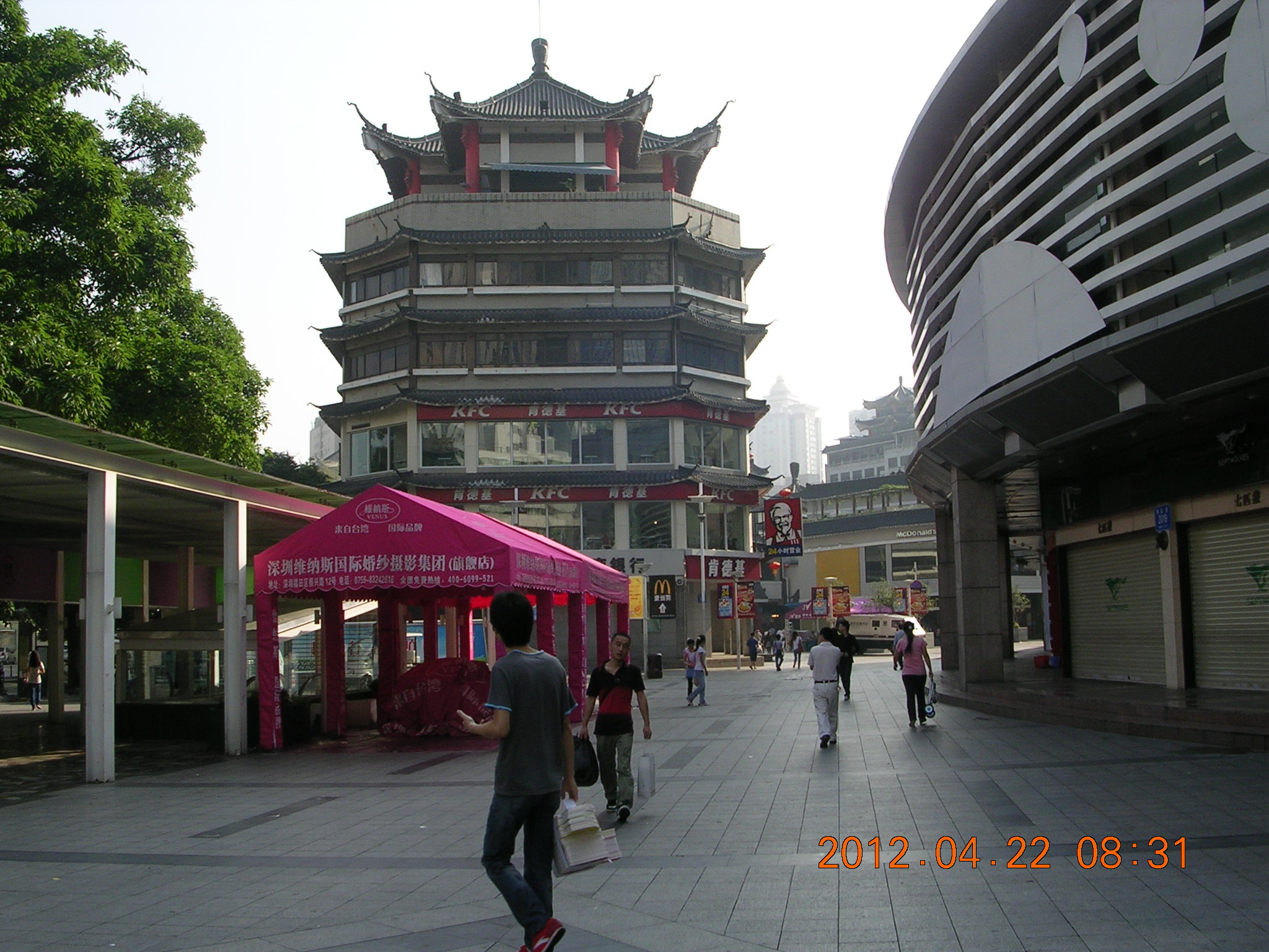 深圳随拍143 / 作者:天涯孤独客 / 帖子ID:18086