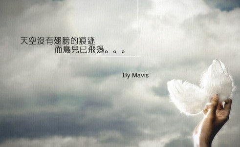 海鸟不爱鱼，只是鱼不该海鸟775 / 作者:Kiki / 帖子ID:18124