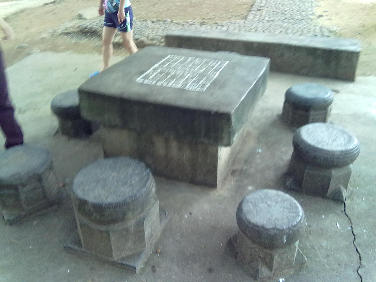 古树367 / 作者:サぜáiｋē / 帖子ID:18362