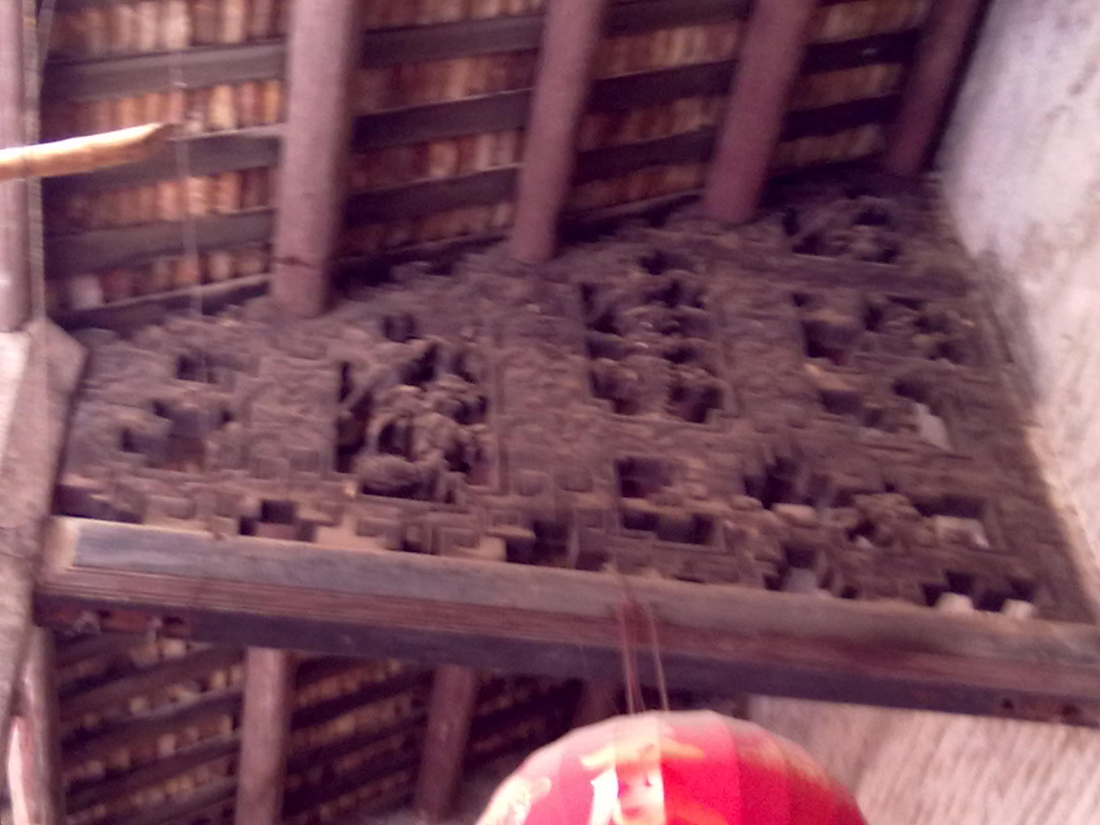 古树552 / 作者:サぜáiｋē / 帖子ID:18362