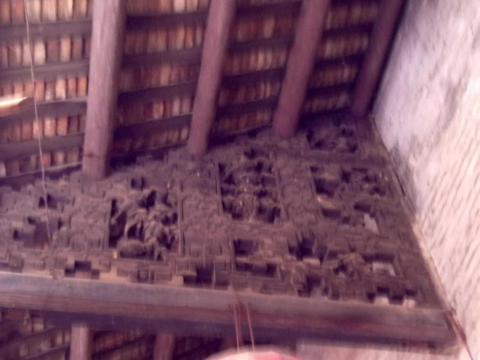 古树957 / 作者:サぜáiｋē / 帖子ID:18362