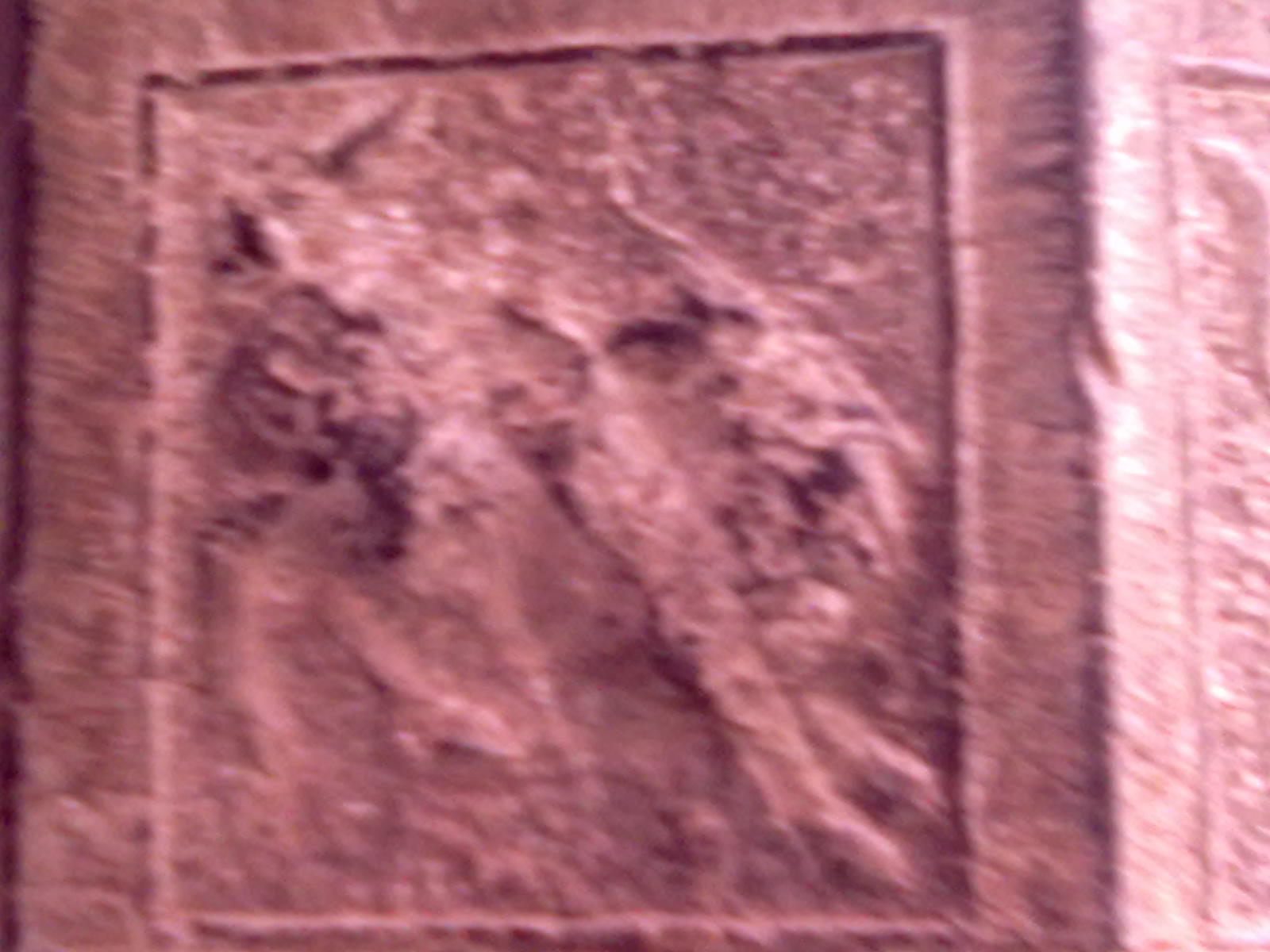 古树50 / 作者:サぜáiｋē / 帖子ID:18362