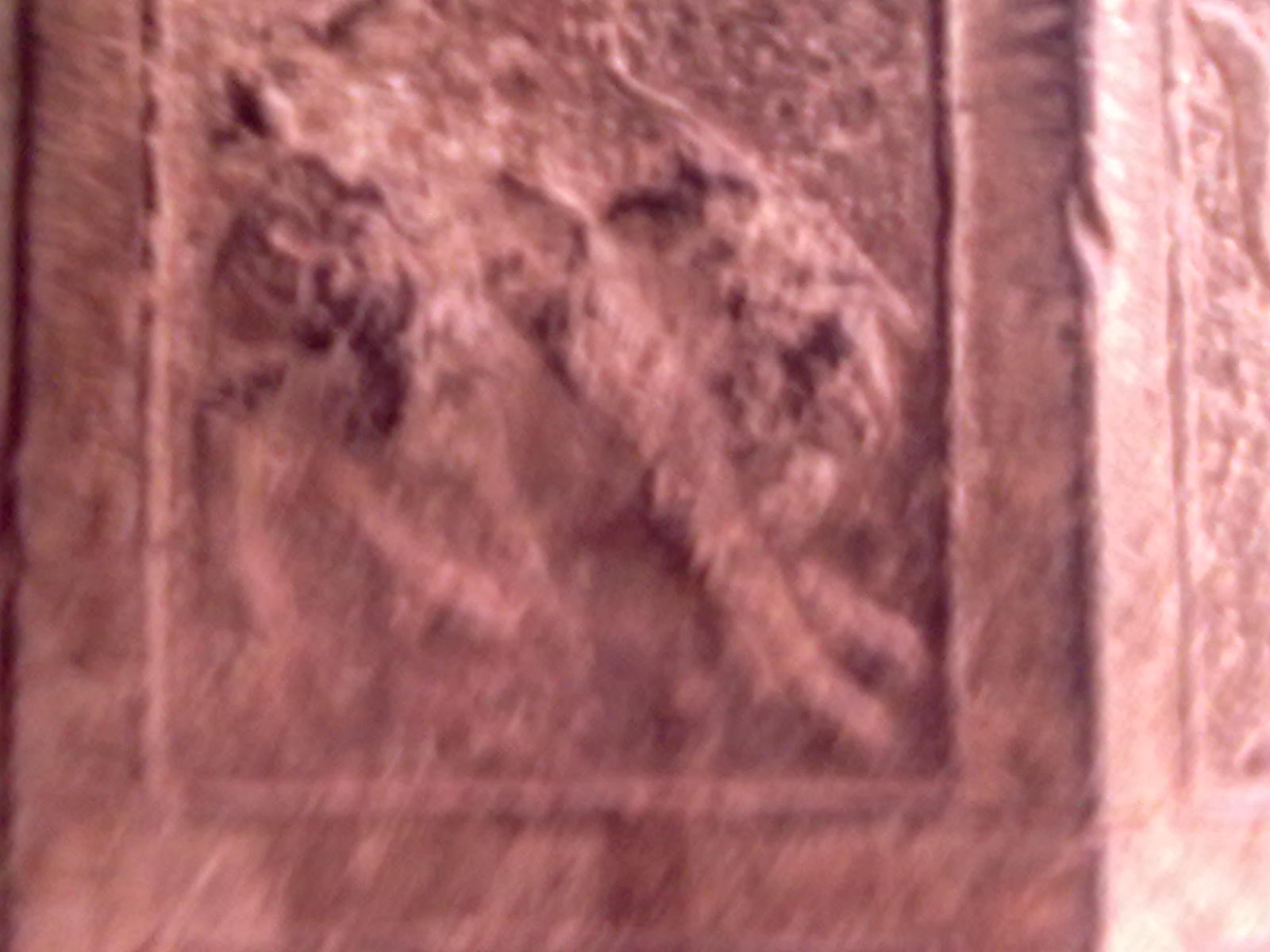 古树383 / 作者:サぜáiｋē / 帖子ID:18362