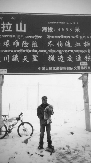 流浪狗跟跑千余公里将到拉萨468 / 作者:火星娃崽 / 帖子ID:18379