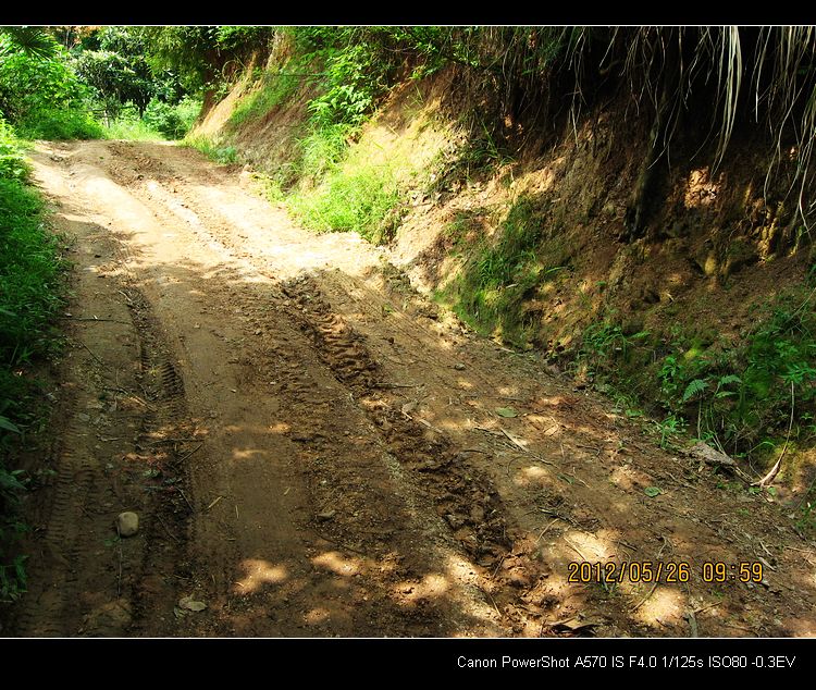 疯狂的河沙503 / 作者:平安大叔 / 帖子ID:18652