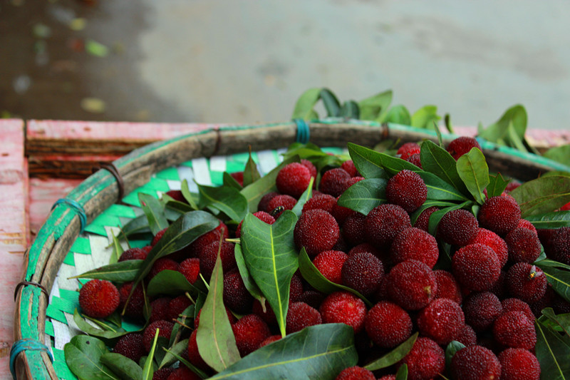 【图】有杨梅卖了，6块一斤！230 / 作者:520摄影记者 / 帖子ID:19076