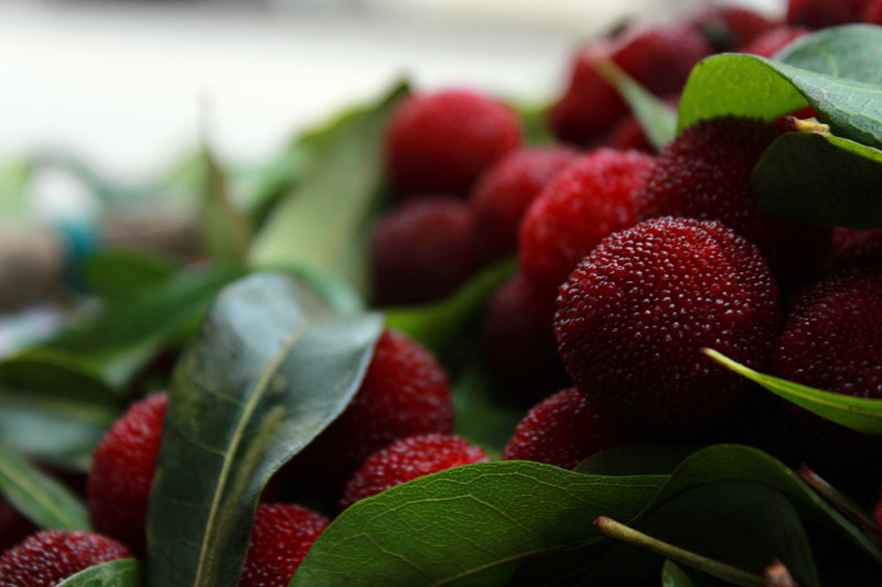 【图】有杨梅卖了，6块一斤！486 / 作者:520摄影记者 / 帖子ID:19076