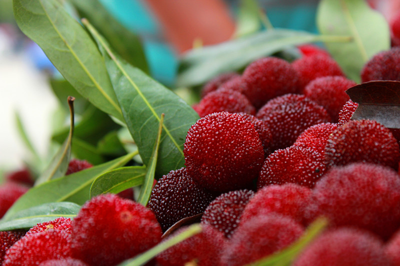 【图】有杨梅卖了，6块一斤！633 / 作者:520摄影记者 / 帖子ID:19076