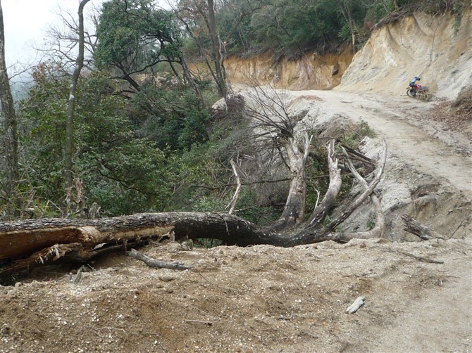 银殿山脚的悲哀182 / 作者:520小编 / 帖子ID:19084