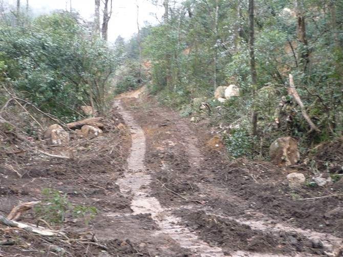 银殿山脚的悲哀638 / 作者:520小编 / 帖子ID:19084