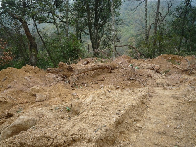 银殿山脚的悲哀914 / 作者:520小编 / 帖子ID:19084