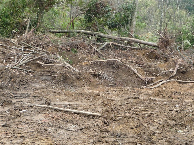 银殿山脚的悲哀16 / 作者:520小编 / 帖子ID:19084