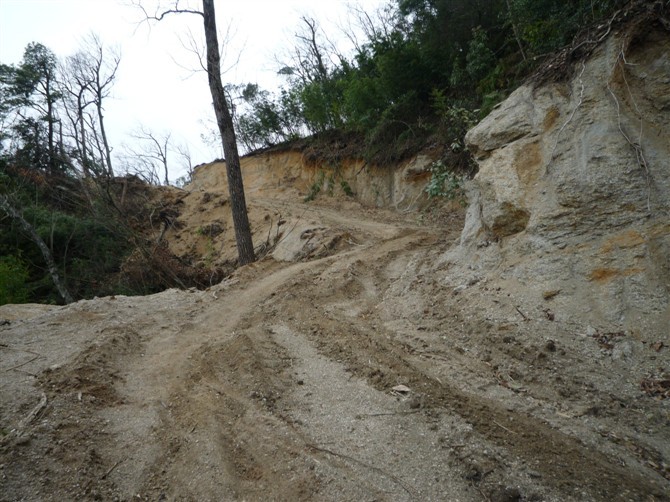 银殿山脚的悲哀587 / 作者:520小编 / 帖子ID:19084