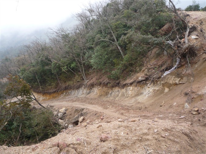 银殿山脚的悲哀968 / 作者:520小编 / 帖子ID:19084