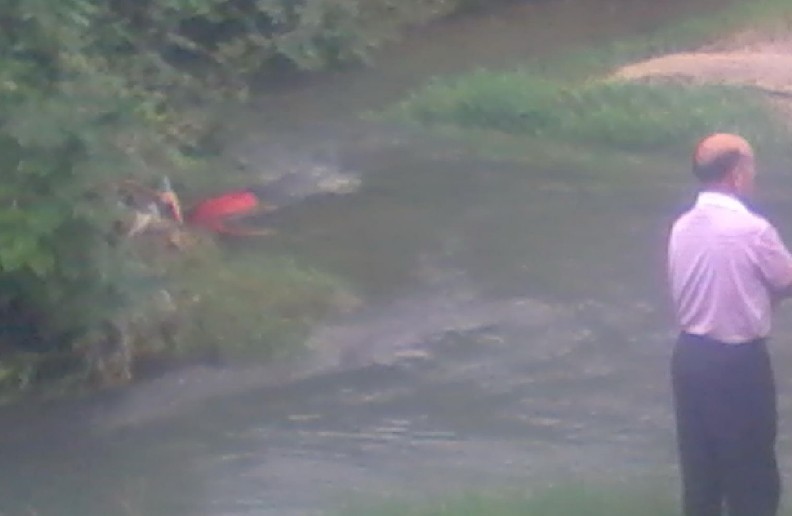 栗木三渡村桥惊现一女尸198 / 作者:恭城人 / 帖子ID:19152