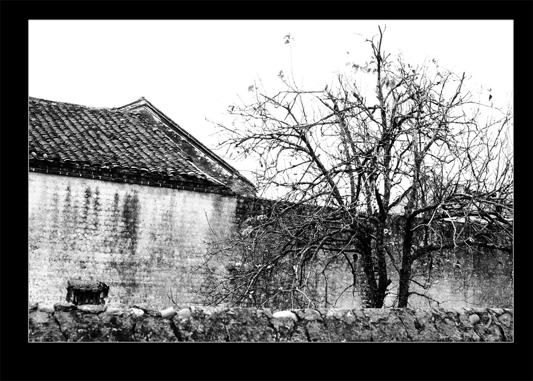 当记忆变成影像752 / 作者:名堂 / 帖子ID:19339