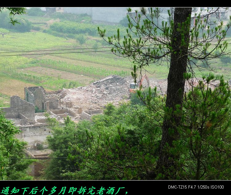 我县的“瑶族文化城”准备动工了。663 / 作者:平安大叔 / 帖子ID:19666