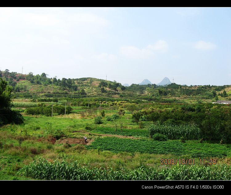 我县的“瑶族文化城”准备动工了。212 / 作者:平安大叔 / 帖子ID:19666