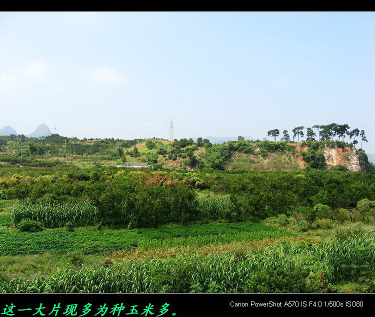 我县的“瑶族文化城”准备动工了。870 / 作者:平安大叔 / 帖子ID:19666