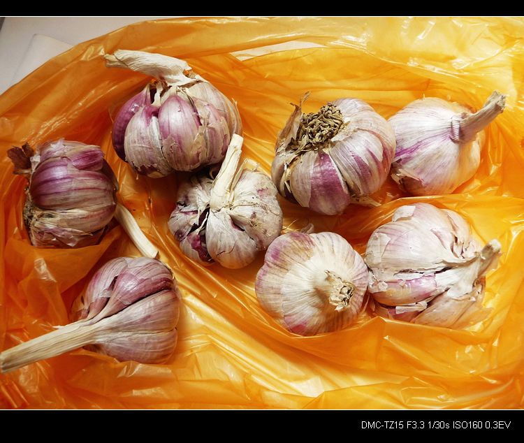 我县的“蒜你狠”。241 / 作者:平安大叔 / 帖子ID:19826