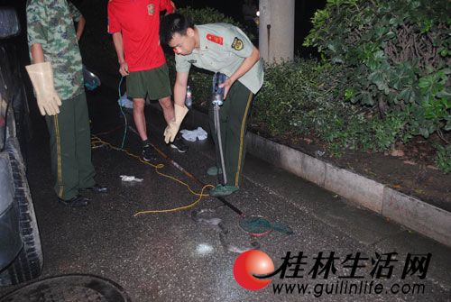 开车发现车上有蛇 车未停好赶紧跳车14 / 作者:否定一切 / 帖子ID:19844