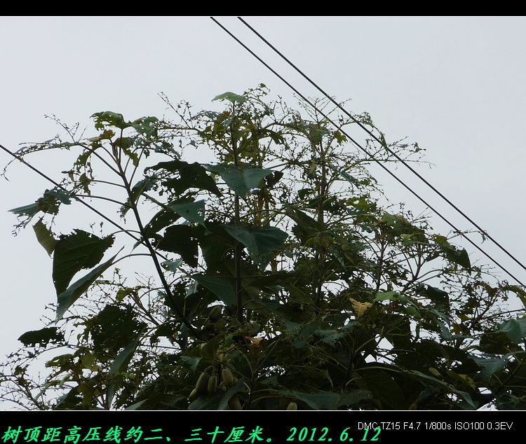 这根“高压线”碰不得！864 / 作者:平安大叔 / 帖子ID:20018