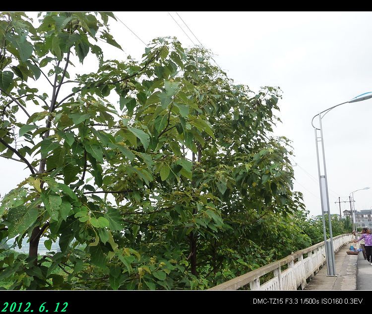 这根“高压线”碰不得！294 / 作者:平安大叔 / 帖子ID:20018