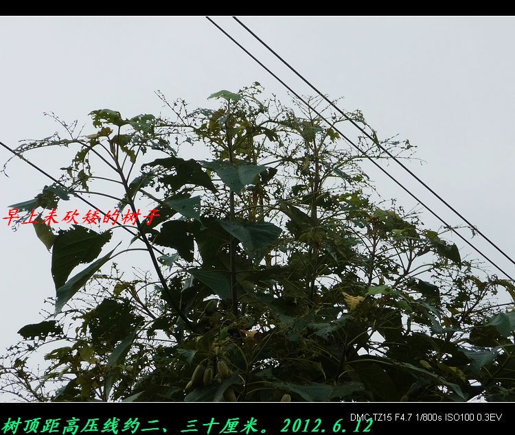 我县今天消除两个安全隐患。432 / 作者:平安大叔 / 帖子ID:20050