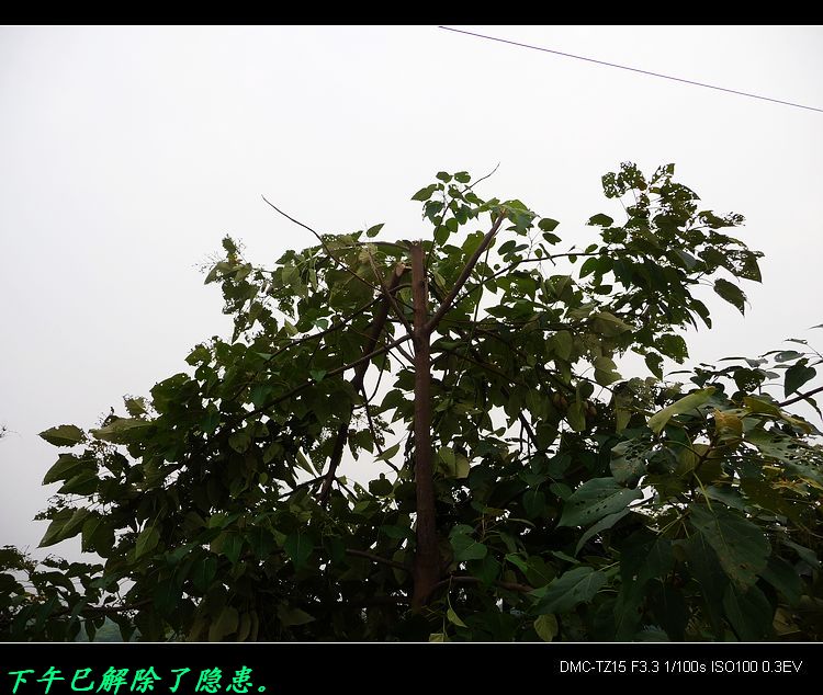 我县今天消除两个安全隐患。834 / 作者:平安大叔 / 帖子ID:20050