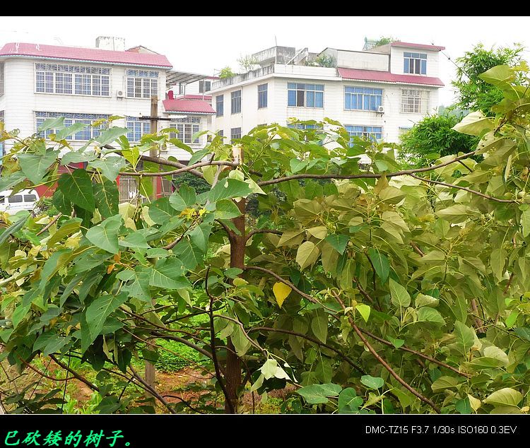 我县今天消除两个安全隐患。513 / 作者:平安大叔 / 帖子ID:20050