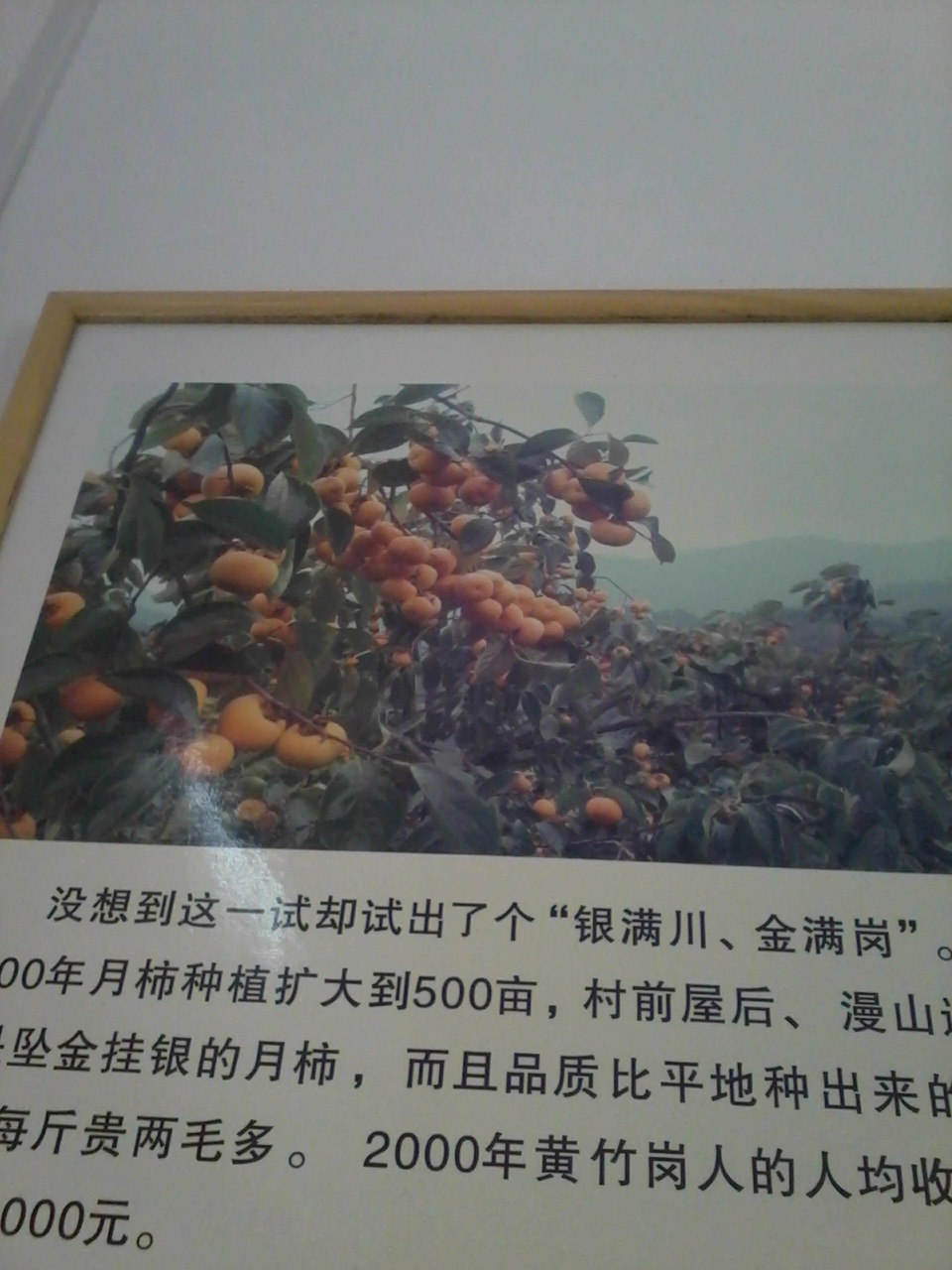 今日恭城黄竹岗新村964 / 作者:大叔快乐 / 帖子ID:20181