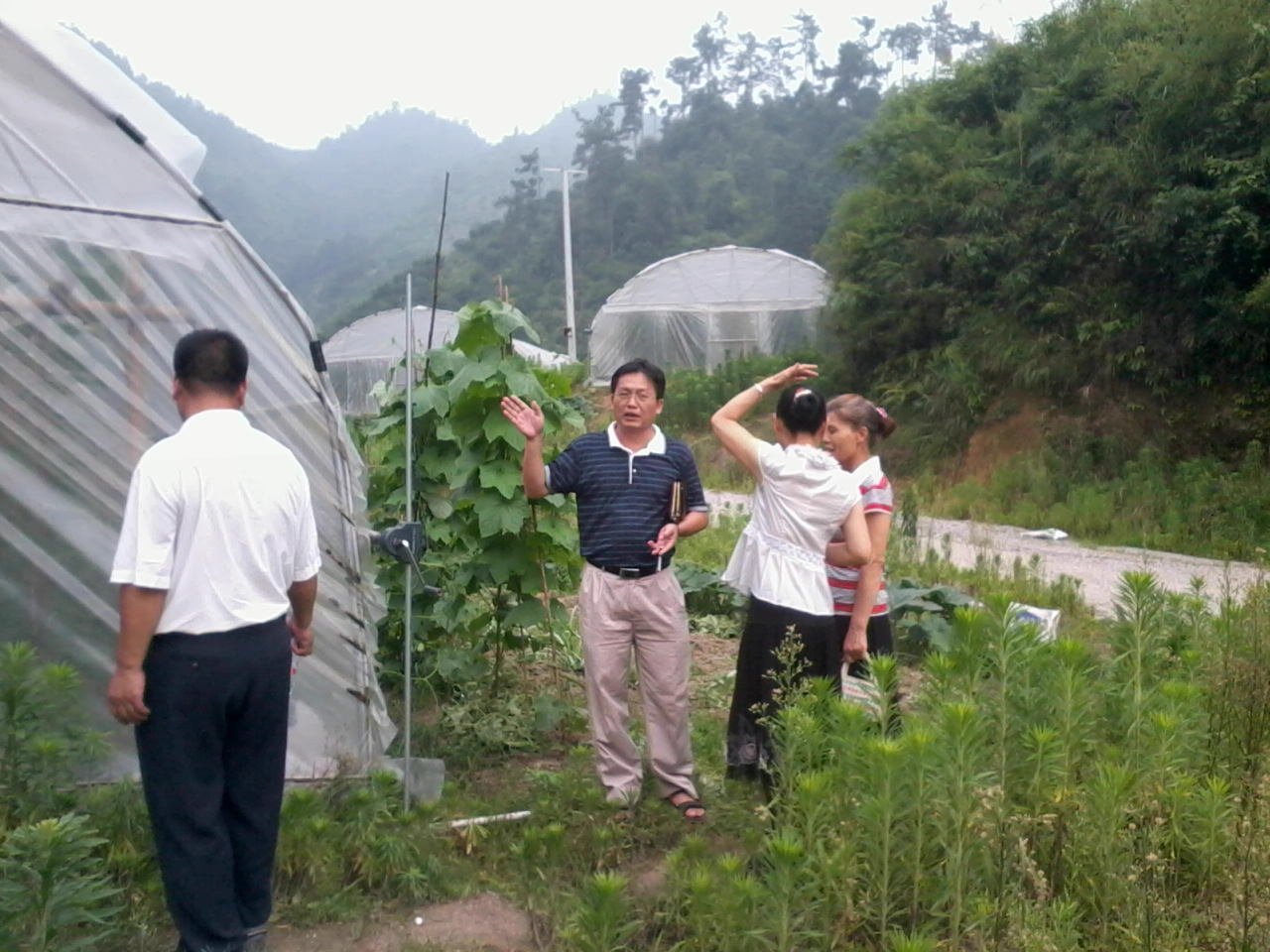 今日恭城黄竹岗新村920 / 作者:大叔快乐 / 帖子ID:20181