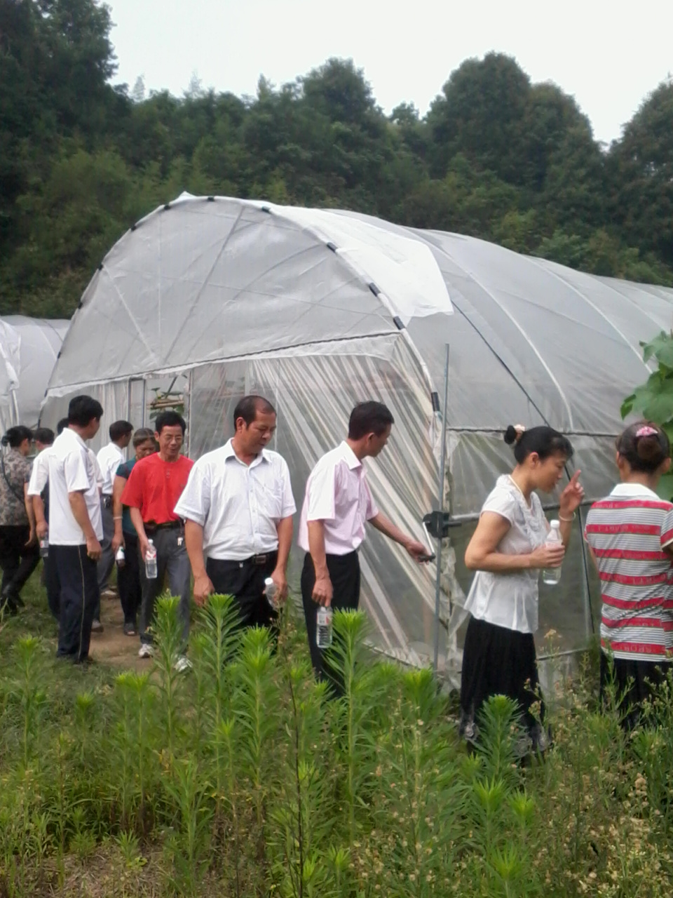 今日恭城黄竹岗新村326 / 作者:大叔快乐 / 帖子ID:20181