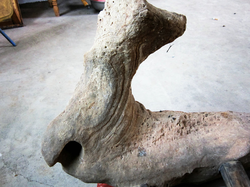 石头——远古巨兽骨化石（很像）291 / 作者:Fysm / 帖子ID:20345