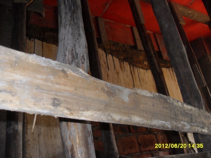 貌似我们那的卫生所改造就这样子卵掉了896 / 作者:欧阳 / 帖子ID:57777