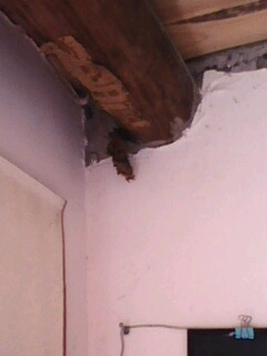 惹它有你受的280 / 作者:wsc油茶三品 / 帖子ID:20784