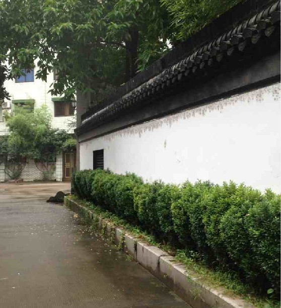 庭院深深-----手机拍滴  拍砖的轻点( ⊙ o ⊙ )啊！926 / 作者:小雨点 / 帖子ID:20816