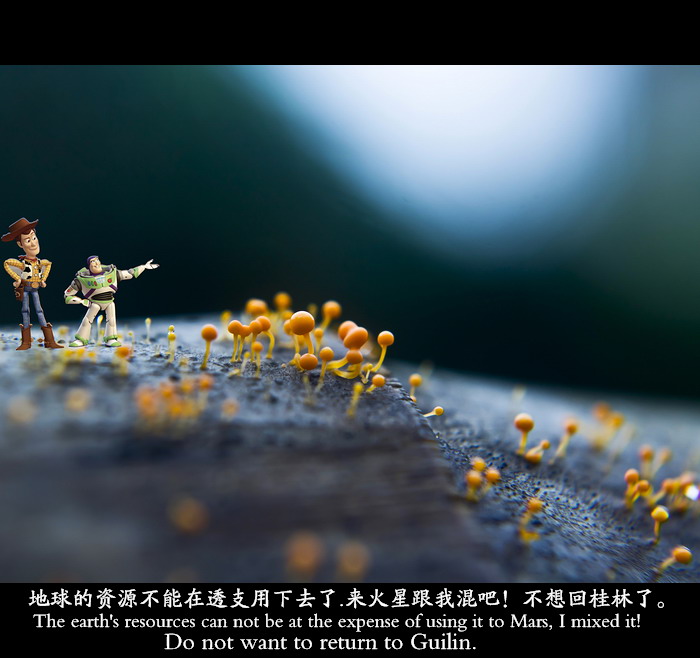 小微距。996 / 作者:講不醜 / 帖子ID:21121