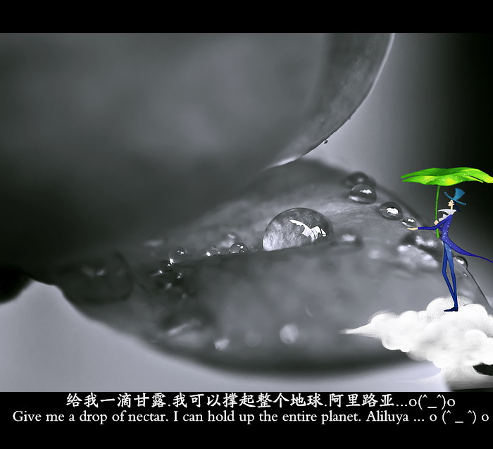 小微距。718 / 作者:講不醜 / 帖子ID:21121