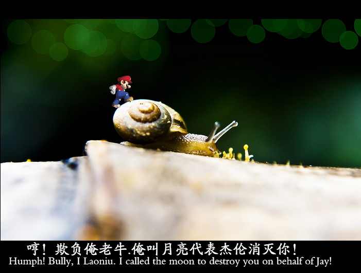 小微距。492 / 作者:講不醜 / 帖子ID:21121