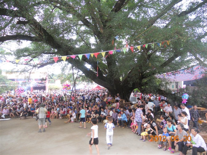 莲花老舞台关公节有吃有喝有看667 / 作者:麒麟玉 / 帖子ID:21398