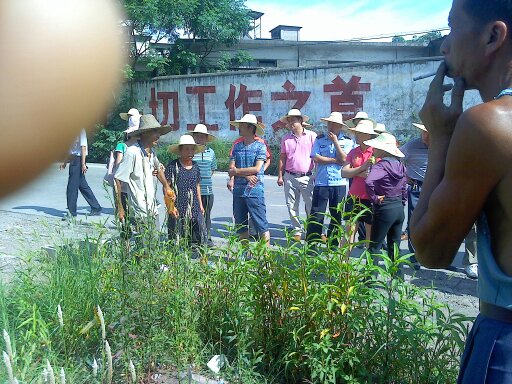 恭城又暴乱了？现场照片情况更新！！763 / 作者:徘徊女 / 帖子ID:21584