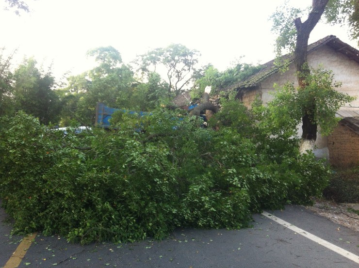 7月11日 傍晚 栗木大石桥车祸。769 / 作者:变态的反应 / 帖子ID:21884