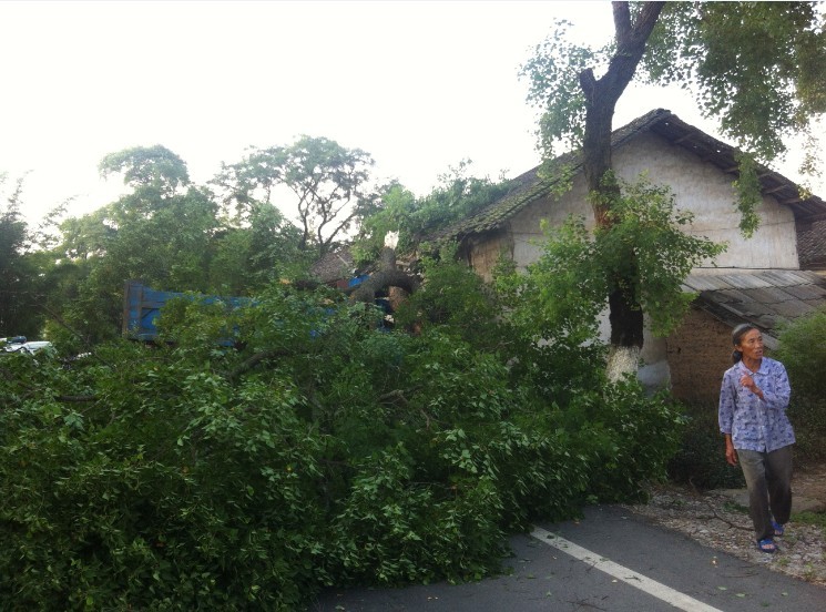 7月11日 傍晚 栗木大石桥车祸。367 / 作者:变态的反应 / 帖子ID:21884