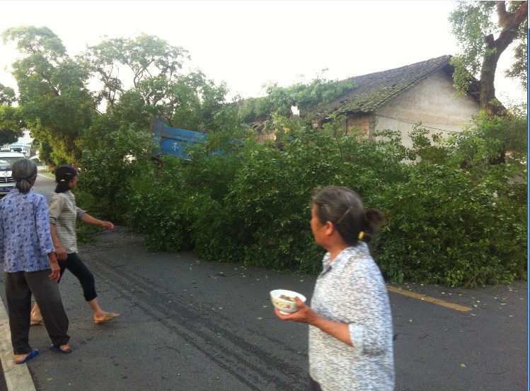 7月11日 傍晚 栗木大石桥车祸。276 / 作者:变态的反应 / 帖子ID:21884