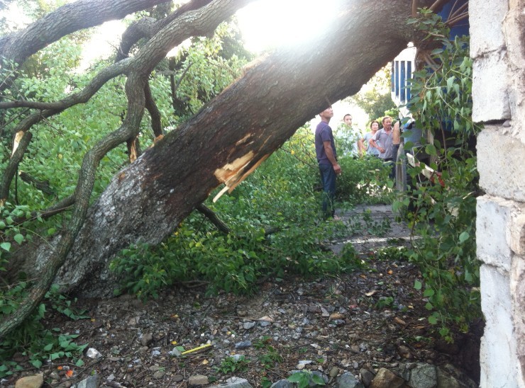 7月11日 傍晚 栗木大石桥车祸。812 / 作者:变态的反应 / 帖子ID:21884